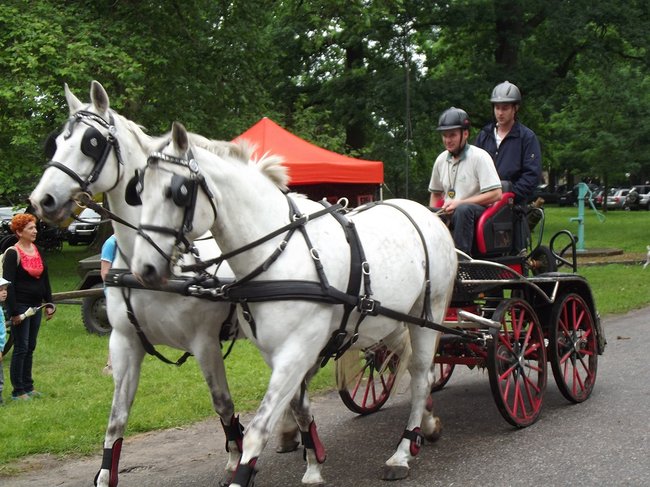 Tętent kopyt i Gienek Loska Band - zdjęcia