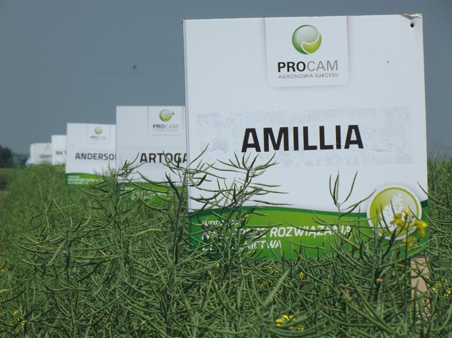 Dbają o swoich klientów - zdjęcia