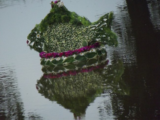 Puszczali wianki na Żgalinach - zdjęcia