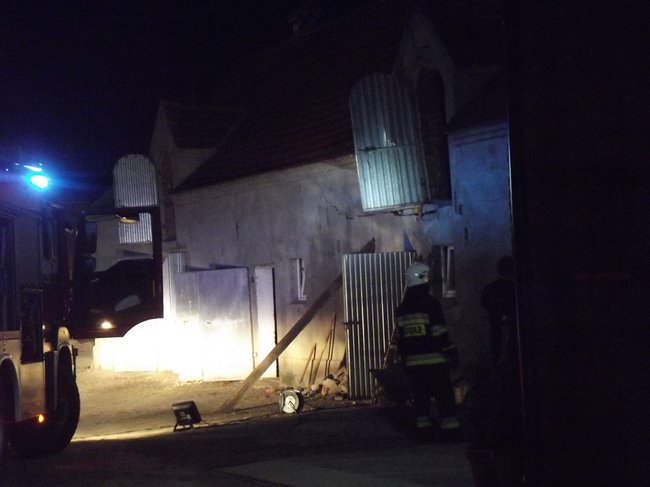 Strop runął na zwierzęta - zdjęcia