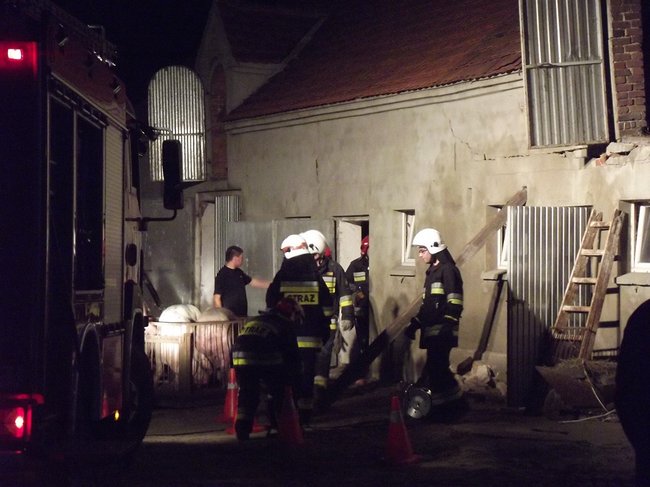 Strop runął na zwierzęta - zdjęcia