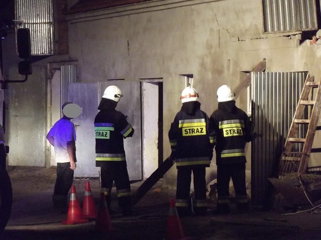 Strop runął na zwierzęta - zdjęcia