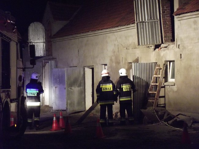 Strop runął na zwierzęta - zdjęcia