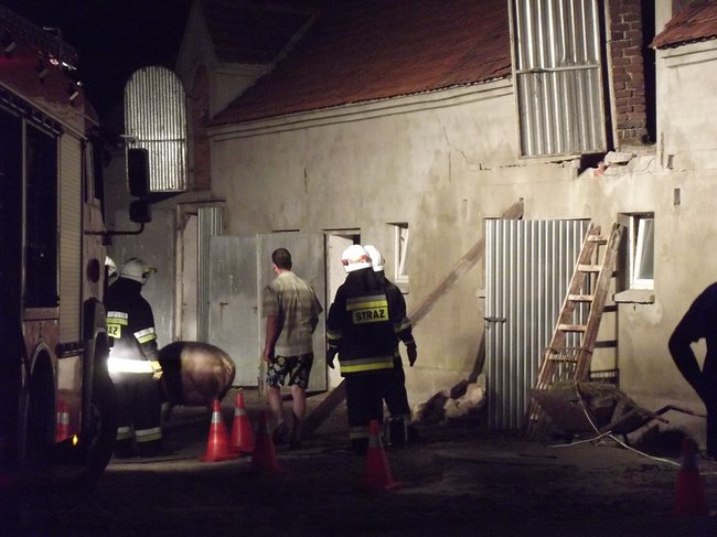 Strop runął na zwierzęta - zdjęcia