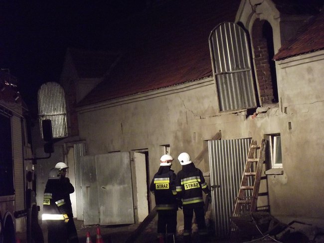 Strop runął na zwierzęta - zdjęcia