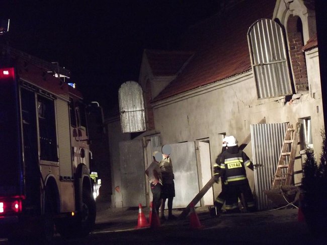 Strop runął na zwierzęta - zdjęcia