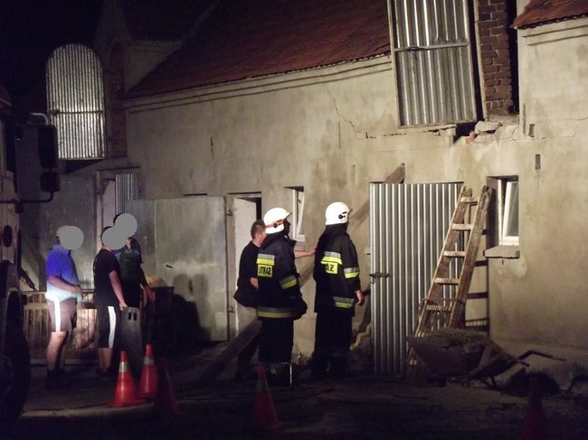 Strop runął na zwierzęta - zdjęcia