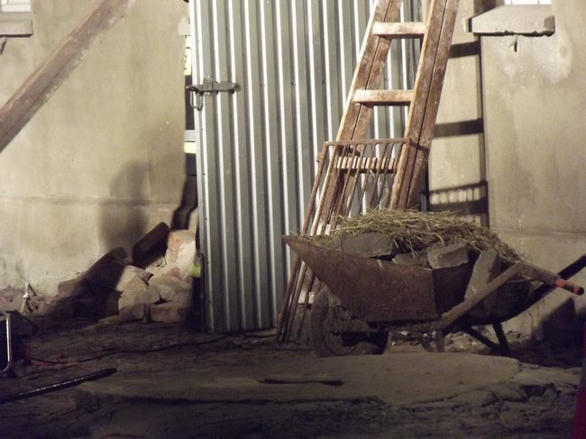 Strop runął na zwierzęta - zdjęcia