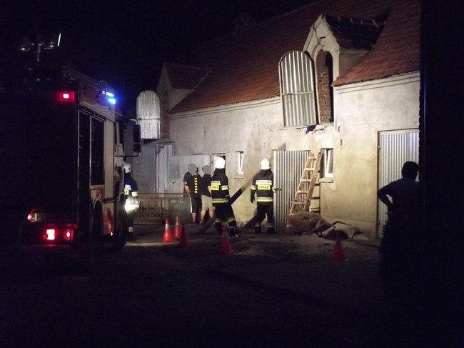 Strop runął na zwierzęta - zdjęcia