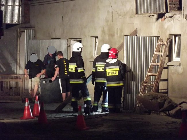 Strop runął na zwierzęta - zdjęcia