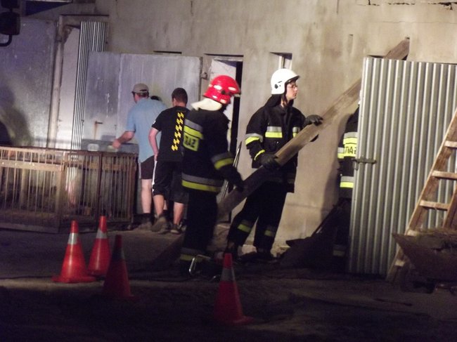 Strop runął na zwierzęta - zdjęcia