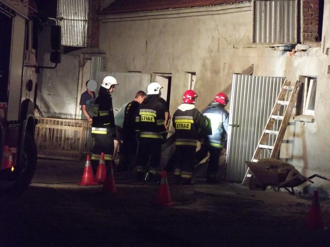 Strop runął na zwierzęta - zdjęcia