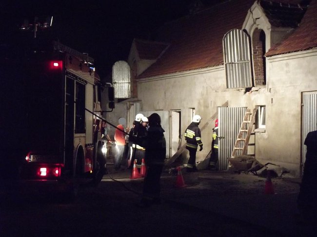 Strop runął na zwierzęta - zdjęcia