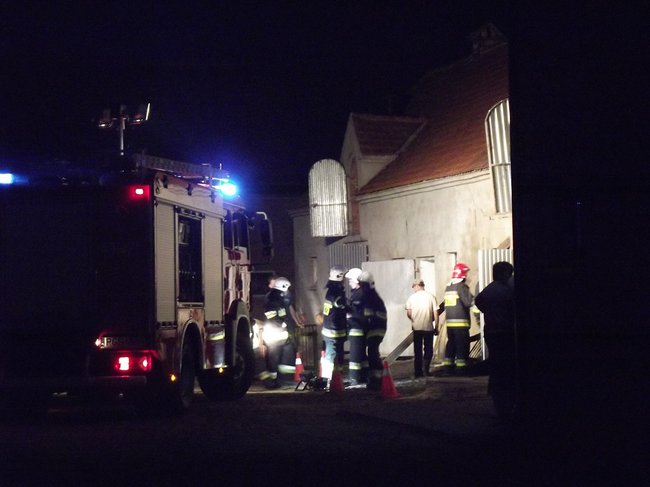 Strop runął na zwierzęta - zdjęcia