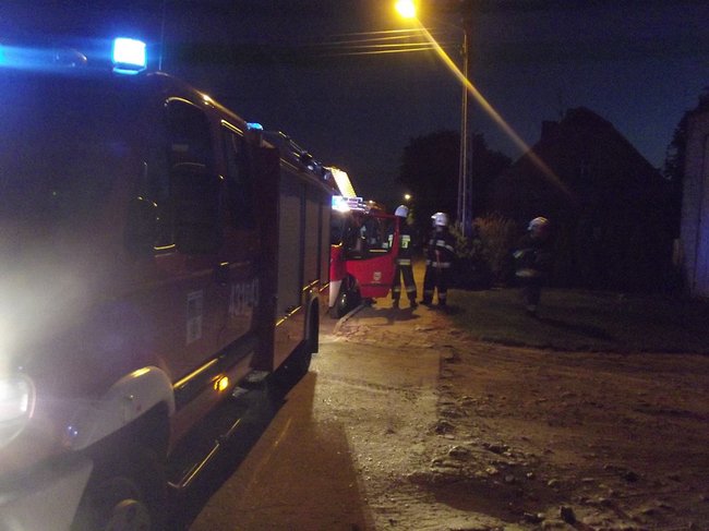 Strop runął na zwierzęta - zdjęcia