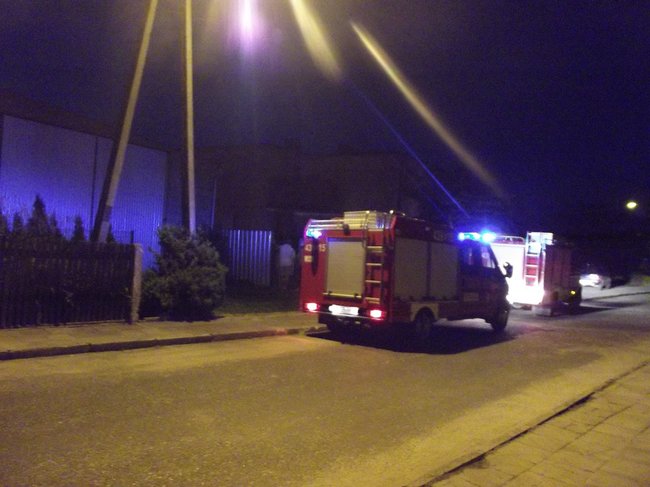 Strop runął na zwierzęta - zdjęcia