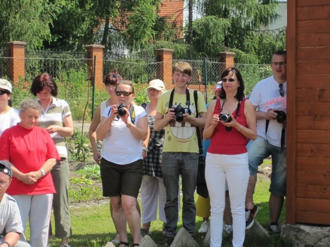 Bule dla zdrowia - zdjęcia