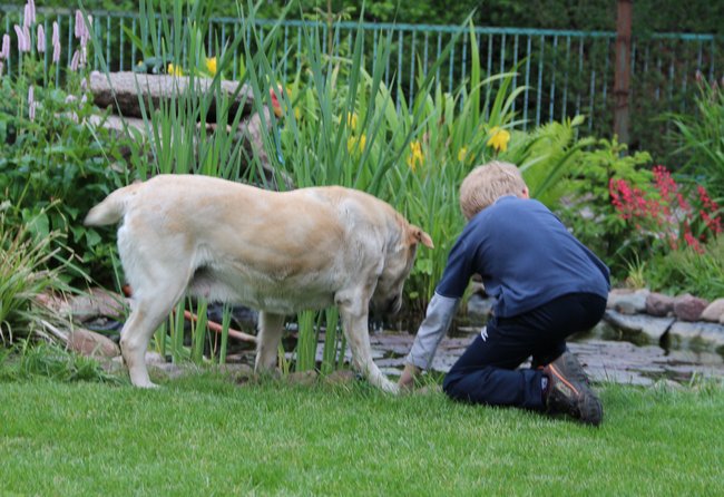 Mój przyjaciel pies - fotozabawa