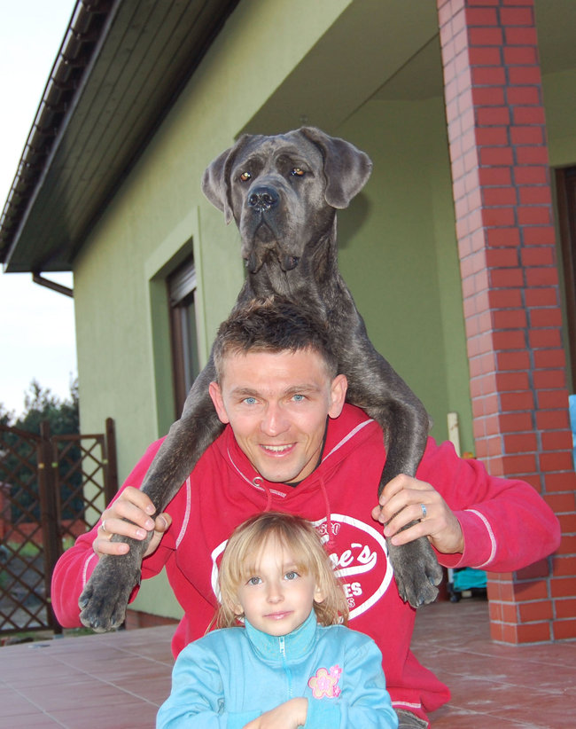 Mój przyjaciel pies - fotozabawa