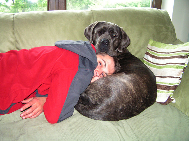 Mój przyjaciel pies - fotozabawa