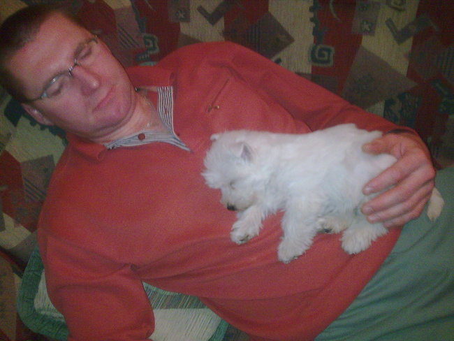 Mój przyjaciel pies - fotozabawa