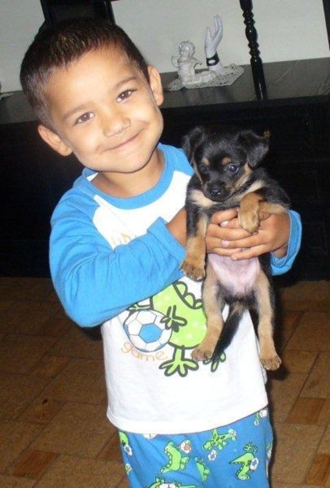 Mój przyjaciel pies - fotozabawa