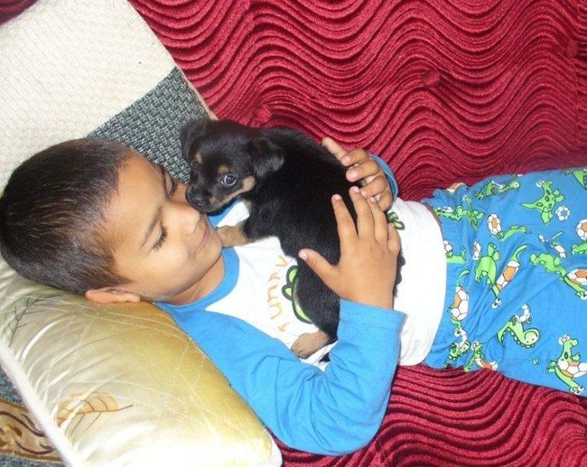 Mój przyjaciel pies - fotozabawa