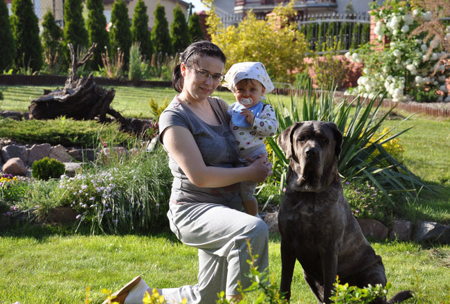 Mój przyjaciel pies - fotozabawa