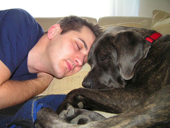 Mój przyjaciel pies - fotozabawa