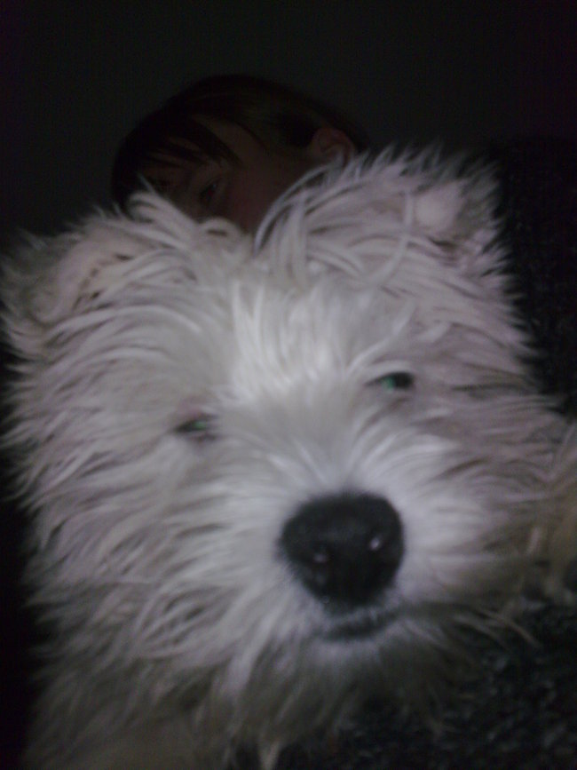 Mój przyjaciel pies - fotozabawa