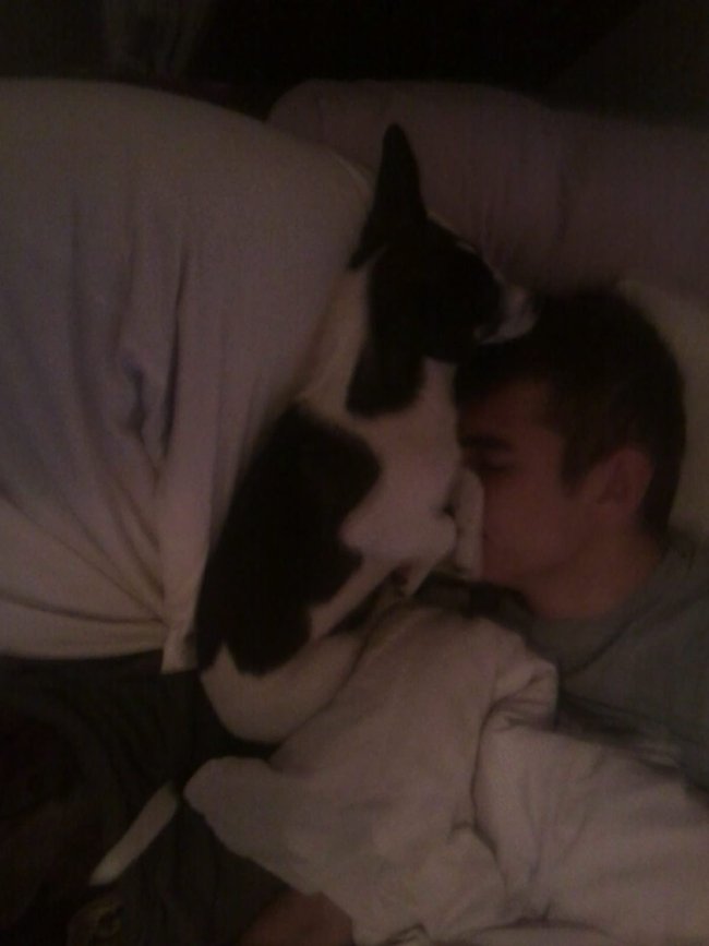 Mój przyjaciel pies - fotozabawa