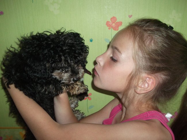 Mój przyjaciel pies - fotozabawa