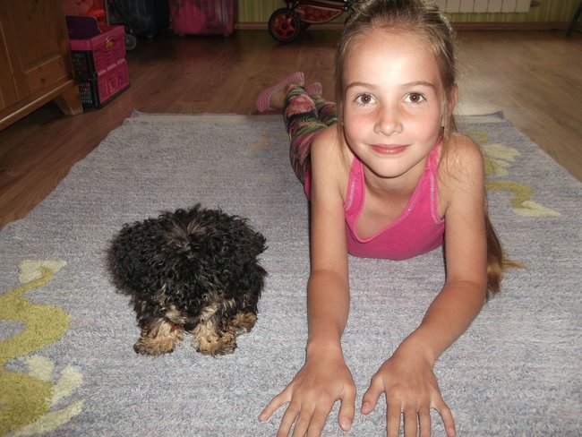 Mój przyjaciel pies - fotozabawa