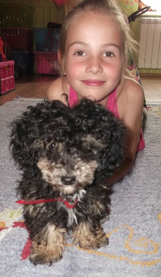 Mój przyjaciel pies - fotozabawa