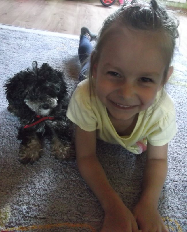 Mój przyjaciel pies - fotozabawa