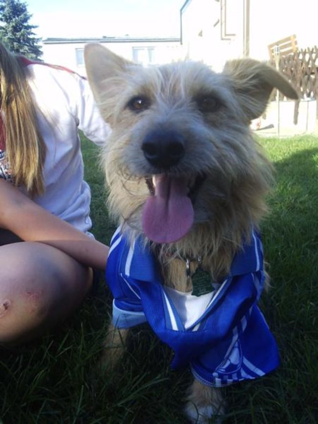 Mój przyjaciel pies - fotozabawa