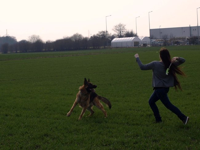 Mój przyjaciel pies - fotozabawa