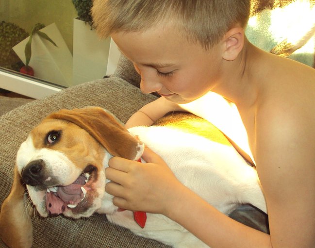 Mój przyjaciel pies - fotozabawa