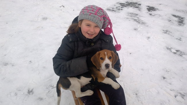 Mój przyjaciel pies - fotozabawa