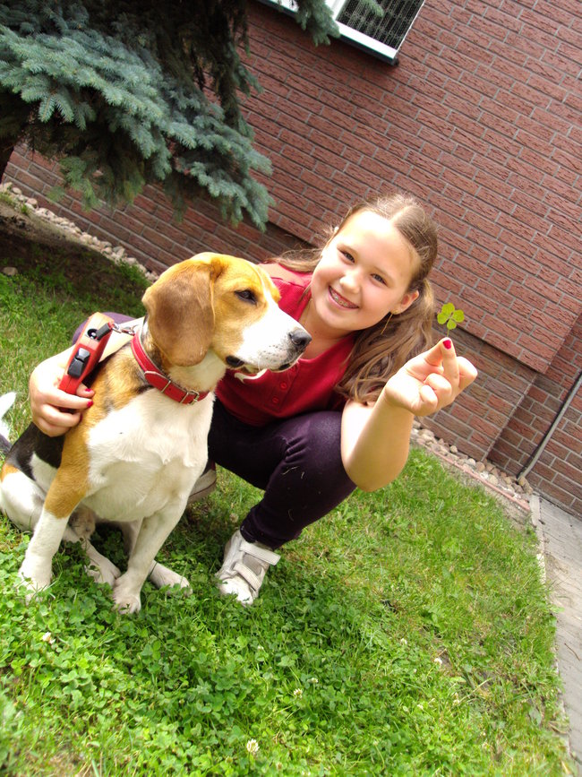 Mój przyjaciel pies - fotozabawa