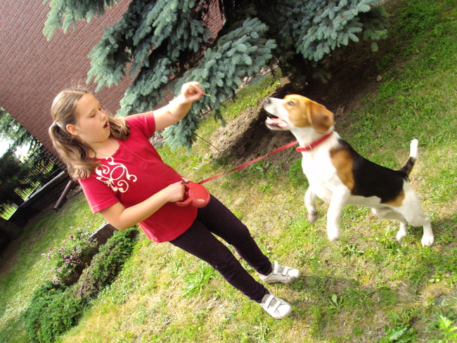 Mój przyjaciel pies - fotozabawa