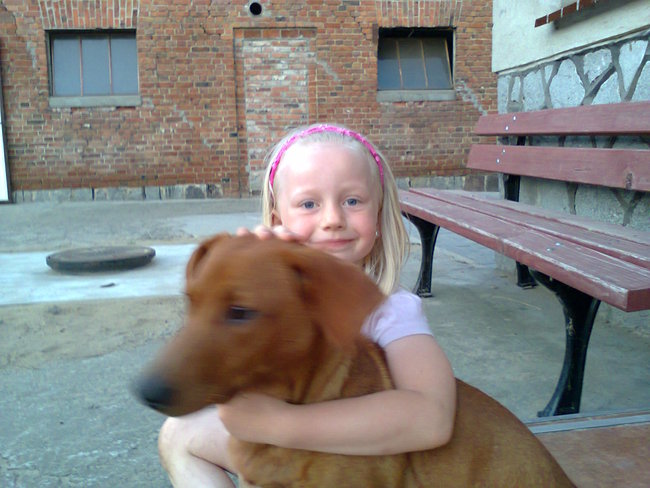 Mój przyjaciel pies - fotozabawa