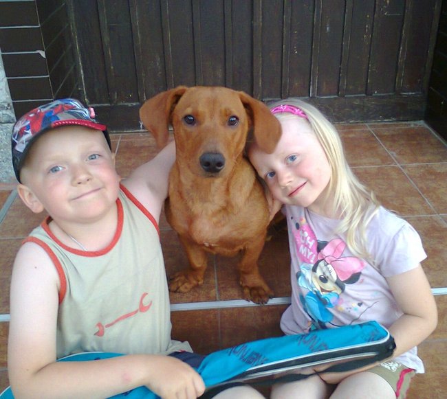 Mój przyjaciel pies - fotozabawa