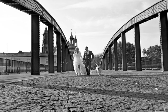 Mój przyjaciel pies - fotozabawa