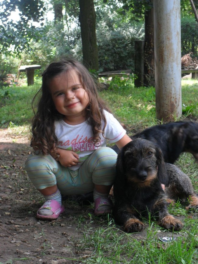 Mój przyjaciel pies - fotozabawa