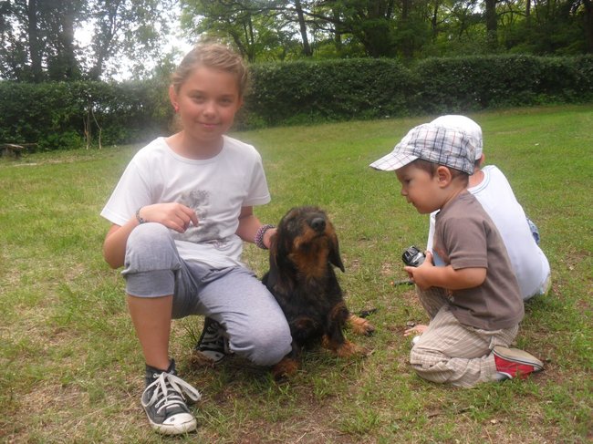 Mój przyjaciel pies - fotozabawa