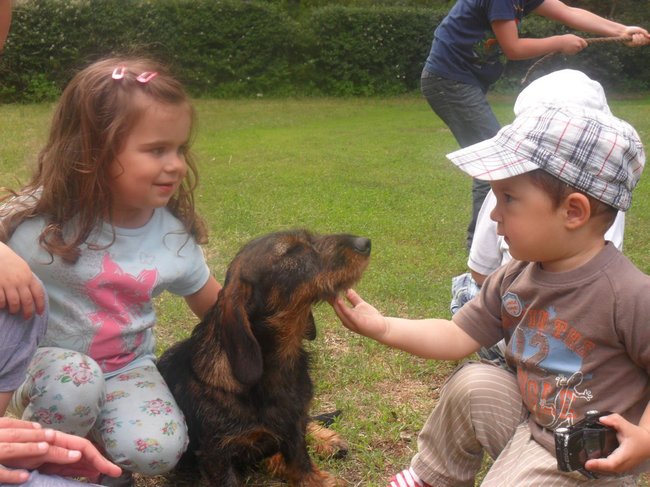 Mój przyjaciel pies - fotozabawa