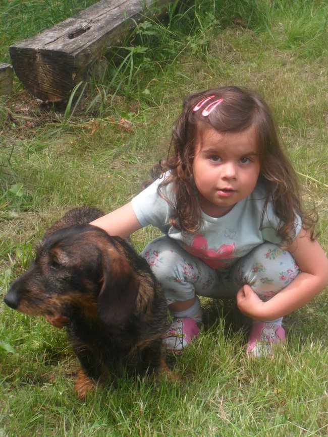 Mój przyjaciel pies - fotozabawa