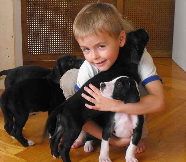 Mój przyjaciel pies - fotozabawa