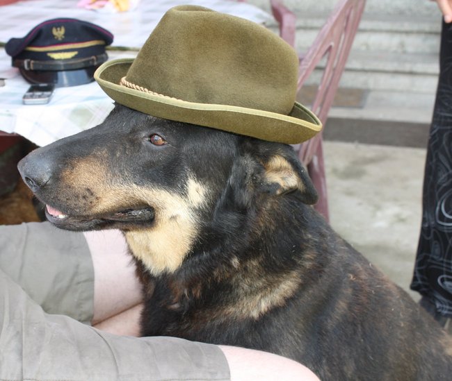 Mój przyjaciel pies - fotozabawa